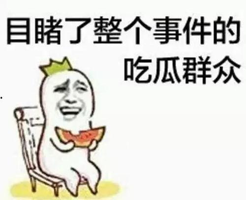 阳光爆料吃瓜群众视频,揭秘吃瓜群众视频背后的故事  第3张